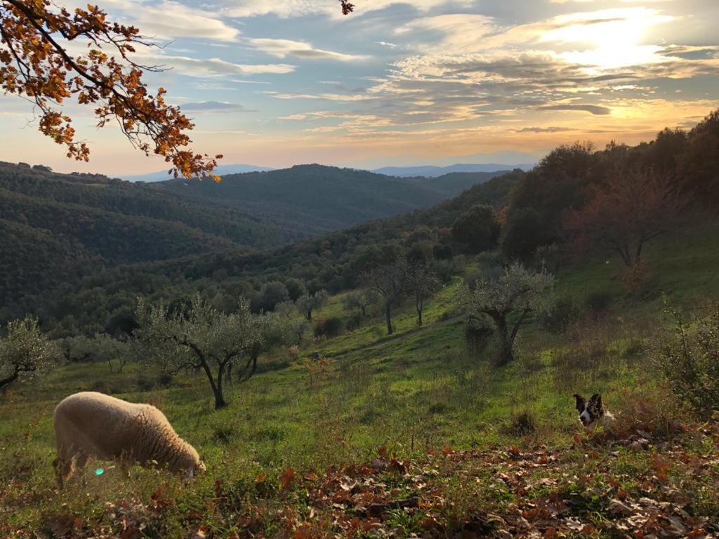 Vila Nocini Di Maremma Tatti Exteriér fotografie