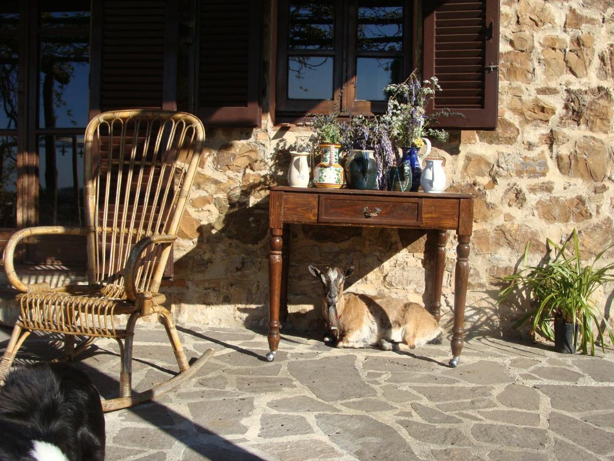 Vila Nocini Di Maremma Tatti Exteriér fotografie