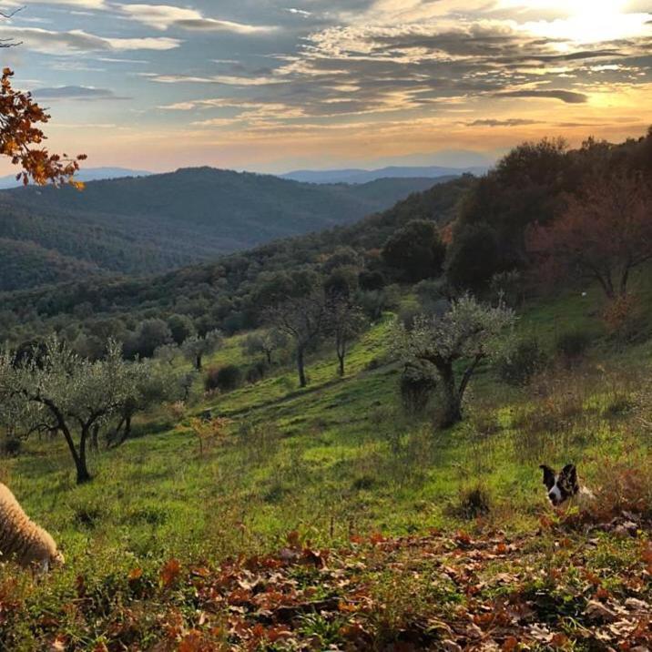 Vila Nocini Di Maremma Tatti Exteriér fotografie