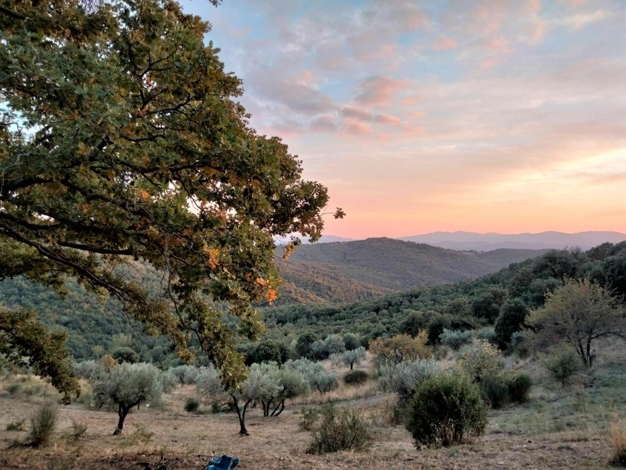 Vila Nocini Di Maremma Tatti Exteriér fotografie