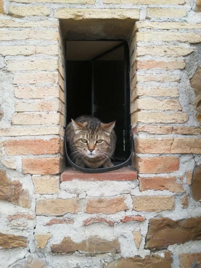Vila Nocini Di Maremma Tatti Exteriér fotografie